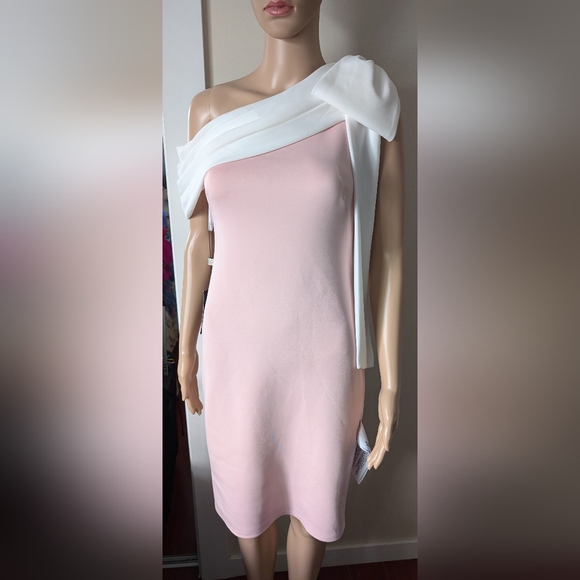 Tadashi Shoji Dress - Picture 3 of 6